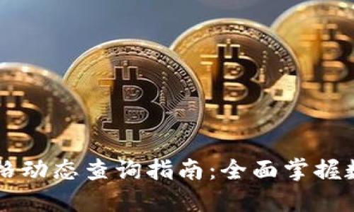 TPWallet价格动态查询指南：全面掌握数字资产行情
